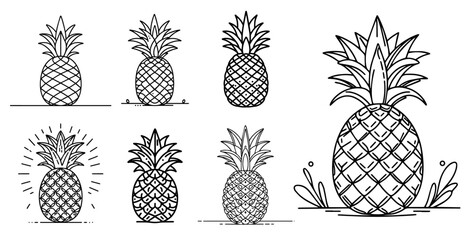 Wall Mural - set of pineapple line art vector illustrations in black and white