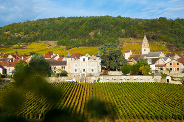 panoramic view of saint-aubin village in france famous for its vineyards