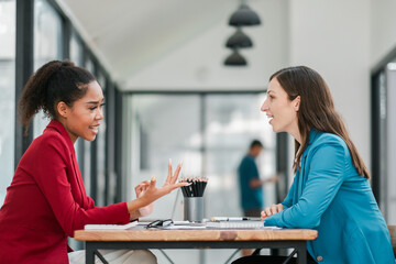 Wall Mural - Two women engaged in a professional discussion at a modern office table, with large windows and natural light.