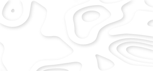 Poster - Vector abstract white paper cut banner. Geometric layered curve line white vector background. White waves decorative papercut design.