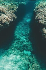 Poster - Underwater Cave with Sunlight Beam and Coral Reef