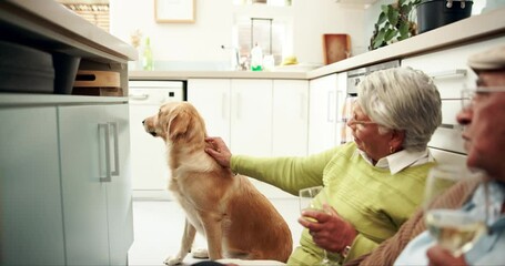 Canvas Print - Happy, elderly couple and wine with dog in house with connection, animal or memory in retirement. Senior people, pet care and kitchen for bonding, relationship or together in home for support or love