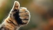 © VectorCookies - Cat paw showing thumbs up