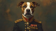 © Thiago - A portrait of a dog wearing historic military uniform. pet portrait in clothing. generative ai. Royalty. Illustration