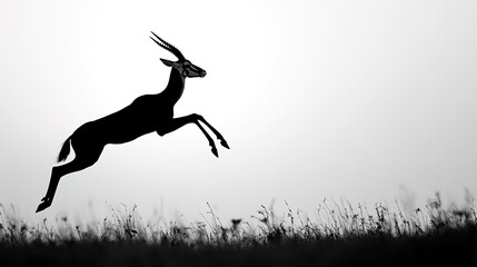 silhouette of a leaping gazelle, emphasizing long legs and agility.