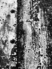 Canvas Print - Abstract black and white texture