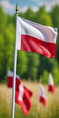 Wall Mural - flag of Poland, a holiday in Poland