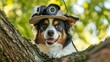 © Apiwat - A dog sitting on a branch of a tree, wearing a security camera hat, observing the scene below with intense focus