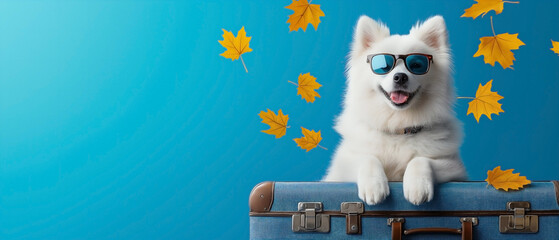 A cute Samoyed dog wearing sunglasses, with its paws folded on a large suitcase, set against a blue isolated background.