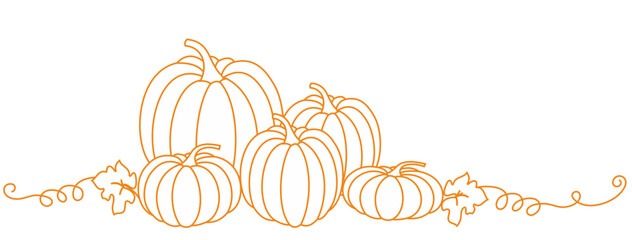 Pumpkin line art style vector illustration