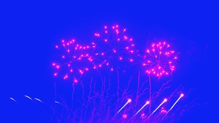 Wall Mural - A mesmerizing fireworks display lights up the night sky, showcasing brilliant colors against a striking blue backdrop. Perfect for holiday celebrations and events