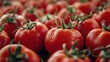 © sablengjago - Close-up of red tomatoes with green stems, dewy and fresh.