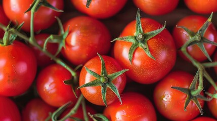 Wall Mural - Close-up of ripe red tomatoes with green stems.