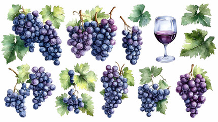 Wall Mural - Watercolor Red Grapes Wineglass Vine Leaves Illustration