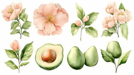 Sticker - Watercolor Pink Flowers and Green Avocados Clipart Set