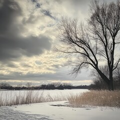 Poster - A bare tree stands tall against a cloudy sky, with a frozen lake and snow-covered ground in the foreground.