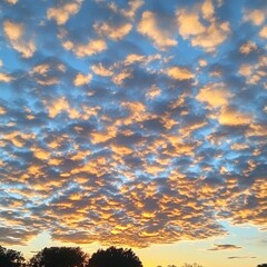 Sticker - A beautiful sunset sky with clouds in shades of orange, pink, and blue.