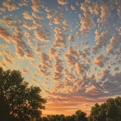 Poster - A beautiful sunset sky with clouds and trees in silhouette.