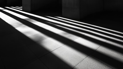 Abstract patterns of light and shadow, in shades of white and gray, creating a striking, high-contrast visual effect