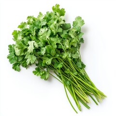 Sticker - A bunch of fresh green cilantro leaves isolated on a white background.