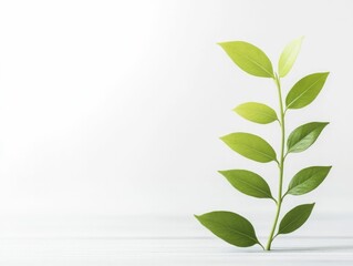 Wall Mural - A single green plant sprout stands upright symbolizing growth and new beginnings