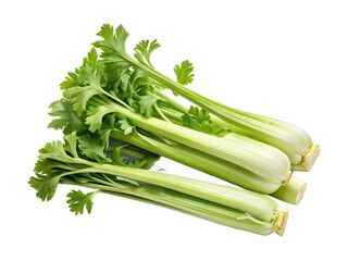 fresh celery isolated on transparent background
