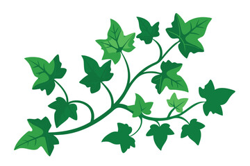 Wall Mural - ivy clean color silhouette vector illustration O.eps