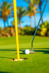 Golf club and golf ball on a green golf course