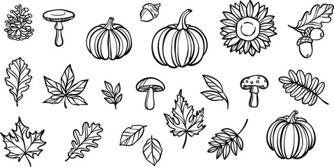 Aufkleber - Autumn line art doodle elements, hand drawn leaf illustrations, isolated