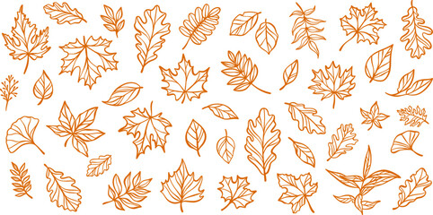 Aufkleber - Autumn leaf illustration, line art doodle set, isolated