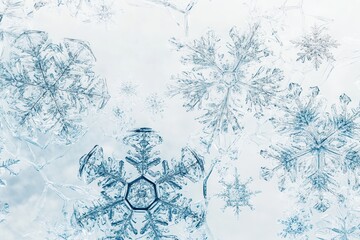 Leinwandbilder - A collection of intricate, abstract snowflakes and fine lines creates a captivating winter-themed design full of elegance and artistry. Generative AI