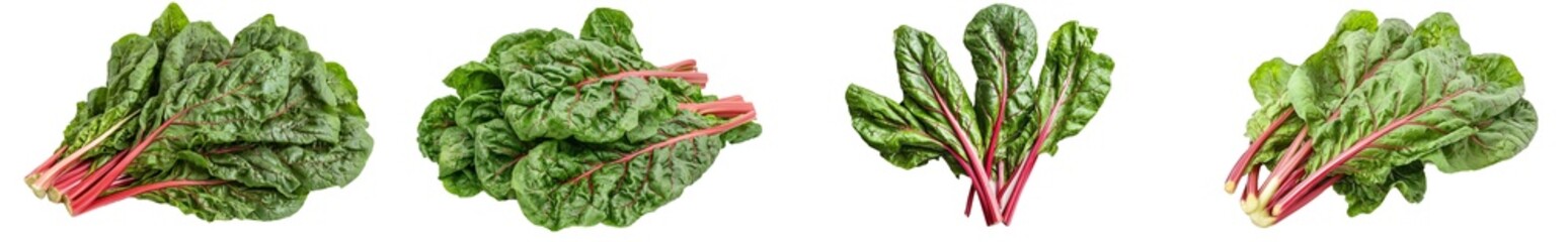 Poster - Red veined sorrel leaves on white background with clipping path, full depth of field