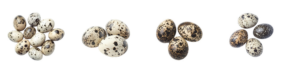 Aufkleber - A quail egg is isolated on white background, with a clipping path, and full depth of field is used