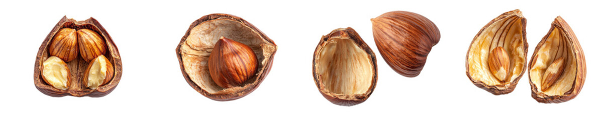Poster - The left half of a hazelnut is isolated on a white background using a clipping path, and the depth of field is full