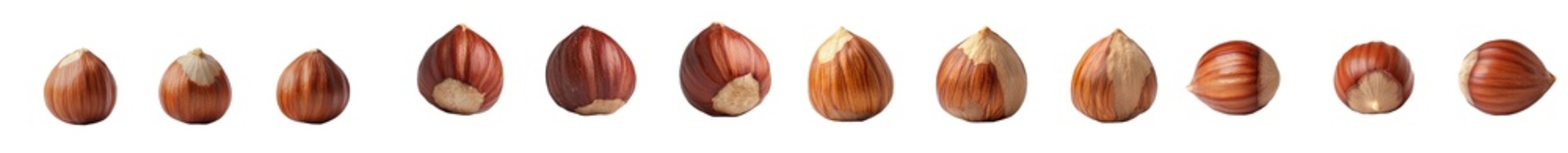 Poster - Hazelnut isolated on white background, clipped path, full depth