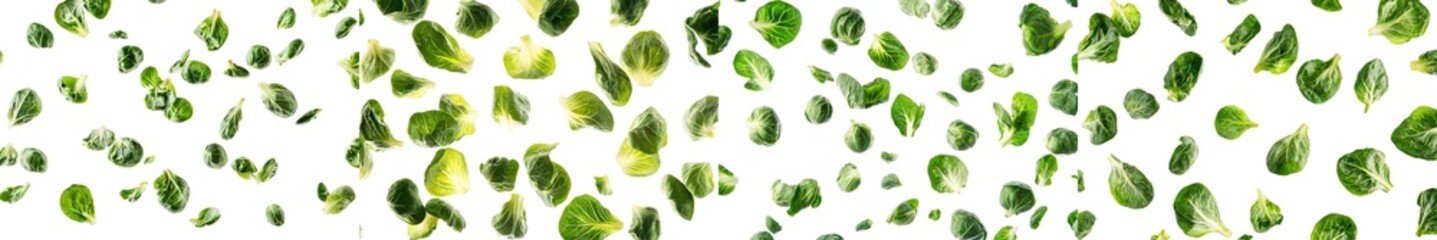 Poster - Isolated on white background, iceberg lettuce falling to the ground