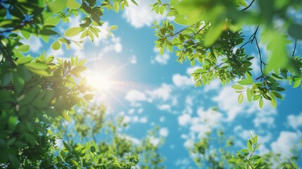 Poster - A tree with leaves and a blue sky