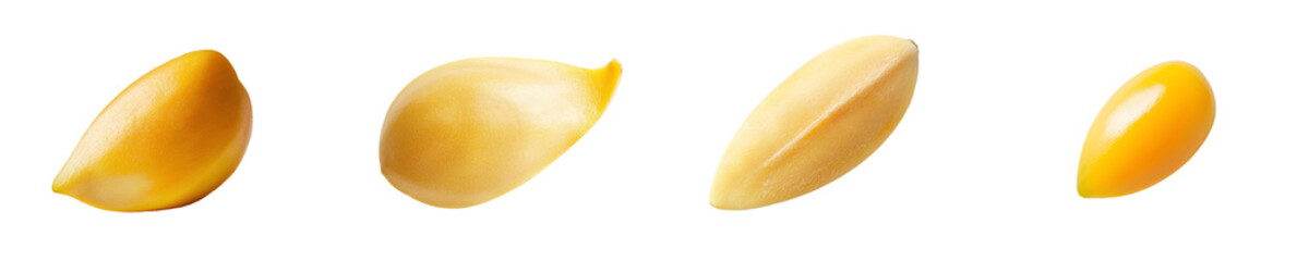 Poster - The pine nut is isolated on a white background, using a clipping path to achieve full depth of field