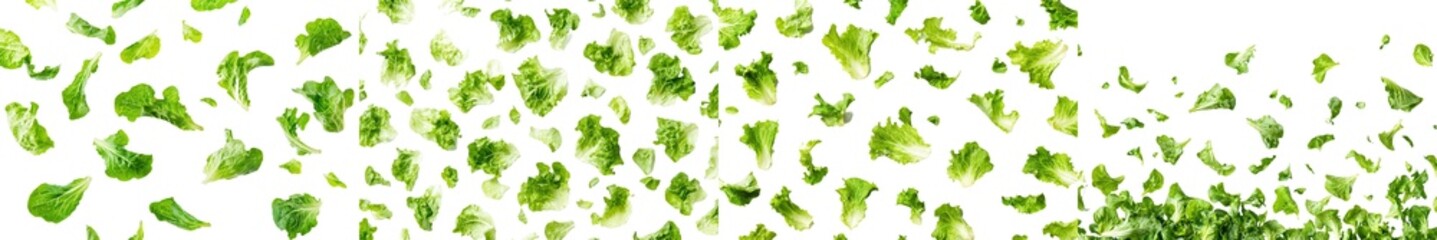 Sticker - Isolated on a white background, lettuce leaf falls to the ground