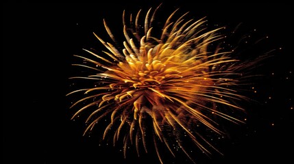 Poster - Orange and yellow fireworks on the black night sky