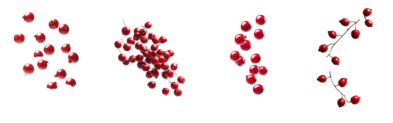Poster - A red kidney bean falls on a white background. Clipping path.