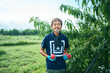 © hideo tsuto - 桃の収穫をする日本の農家さん