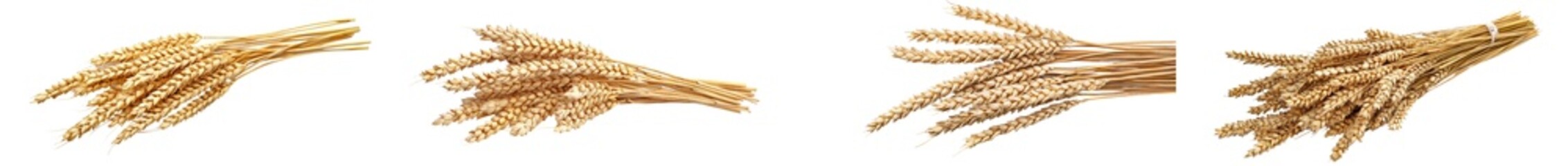 Poster - Clipping path, full depth of field, wheat isolated on white background