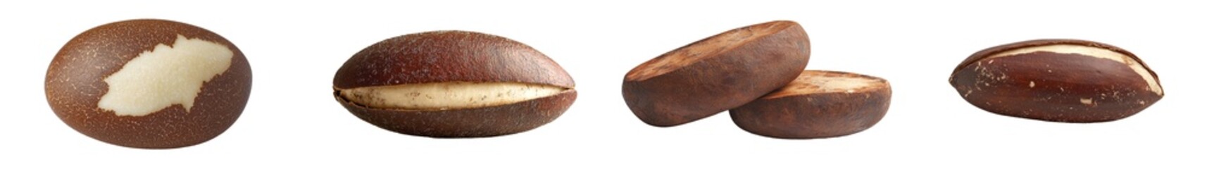 Poster - A Brazil Nut is isolated on a white background, filled with depth of field, and clipped out