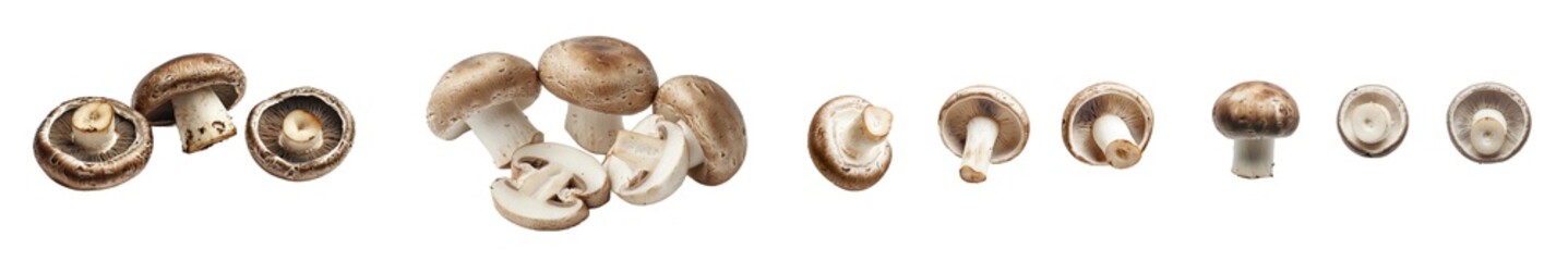 Wall Mural - The mushroom, champignon, is isolated on a white background, with a full depth of field