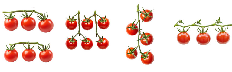 Poster - Isolated tomato cherry on white background, full depth of field