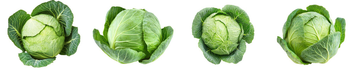 Poster - Savoy cabbage isolated on white background, depth of field filled with light