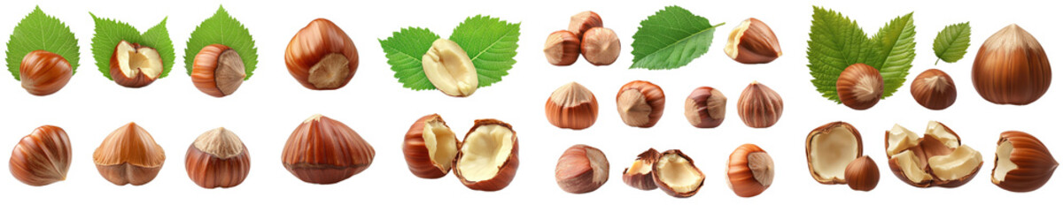 Sticker - Isolated hazelnut on white background, in full depth of field