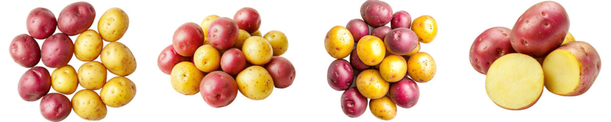Poster - A yellow and red potato isolated on a white background, full depth of field
