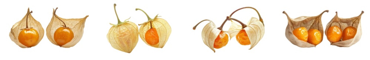 Poster - This is a closeup of the physalis of a Cape gooseberry isolated on a white background and at full depth of field.